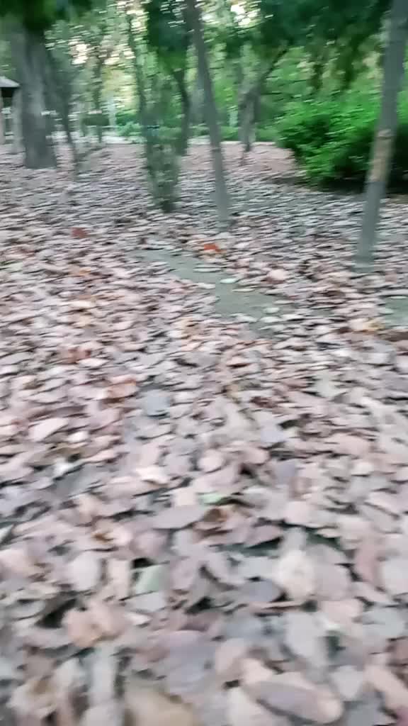 @samviti mishra