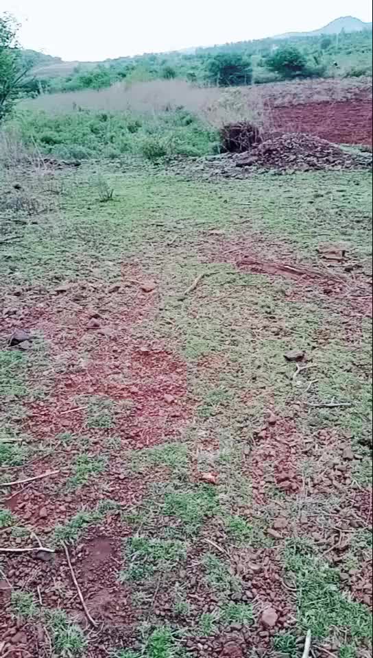 @@Manjukichha