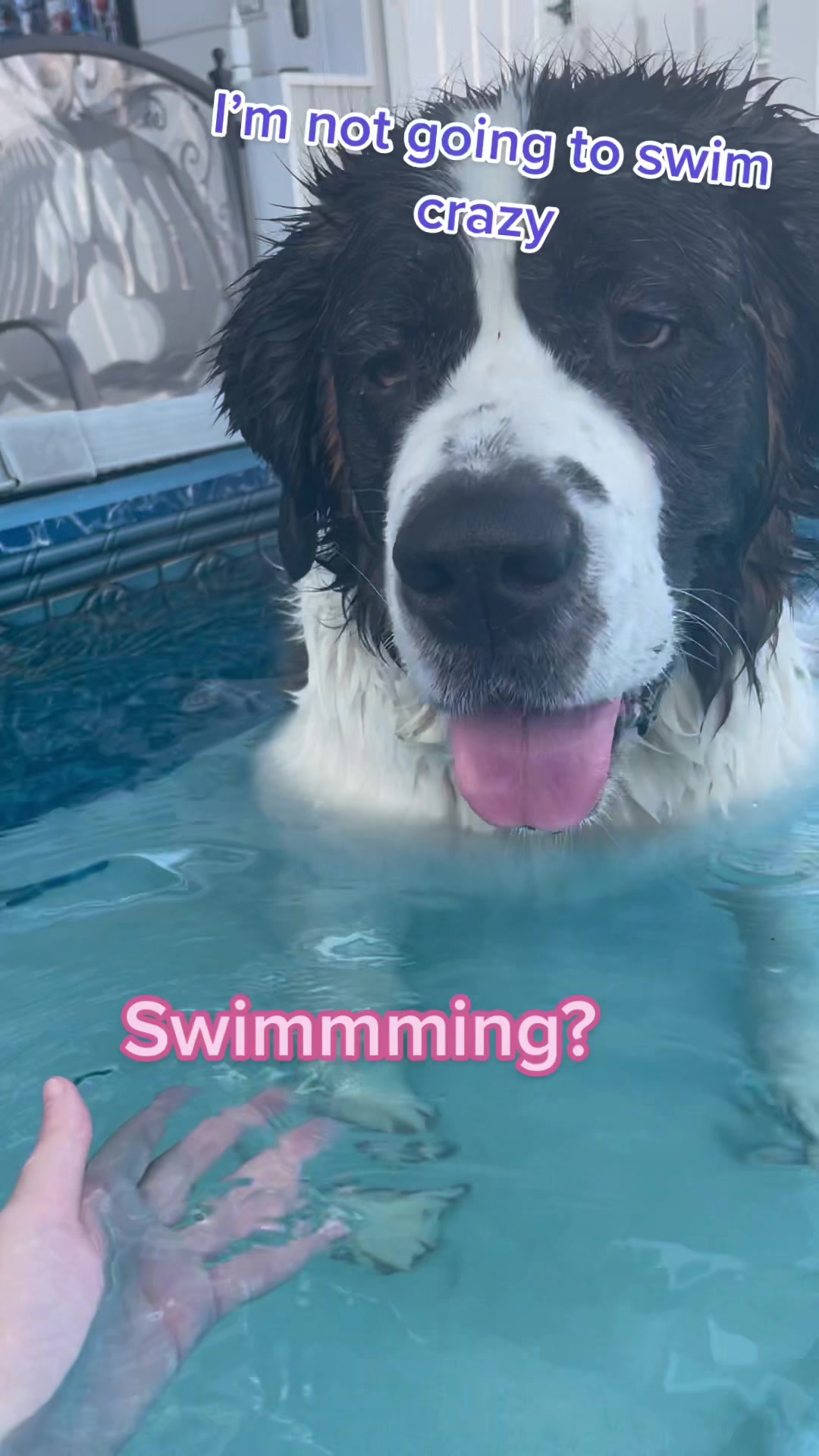 @K9 Massage & Hydrofitness