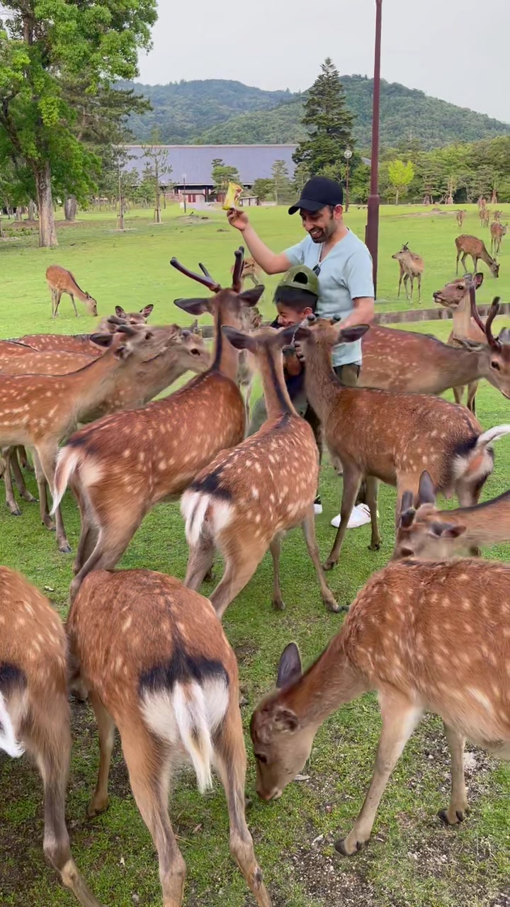 @Ram Rijal