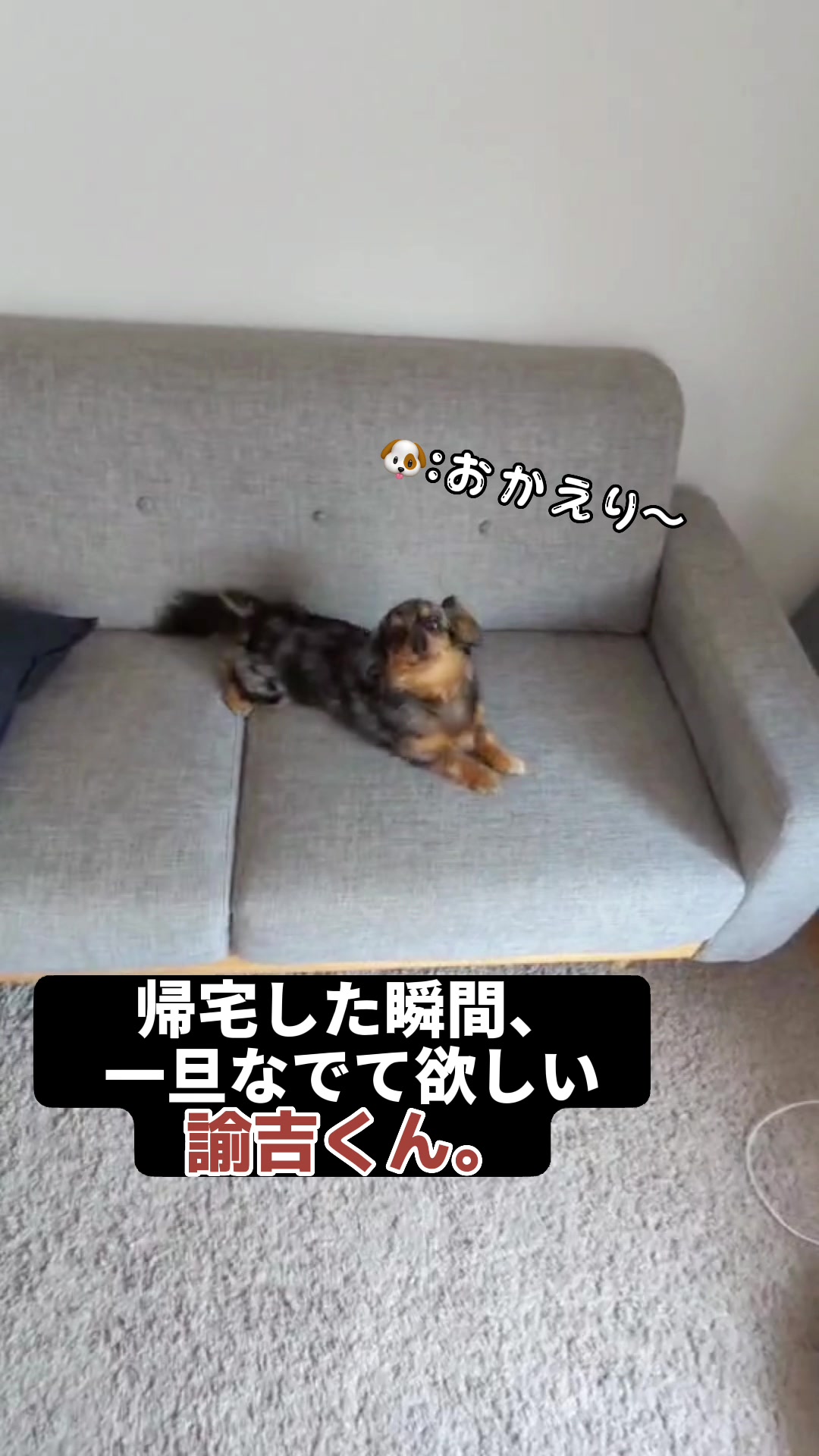 @チワックスの諭吉くん🐾