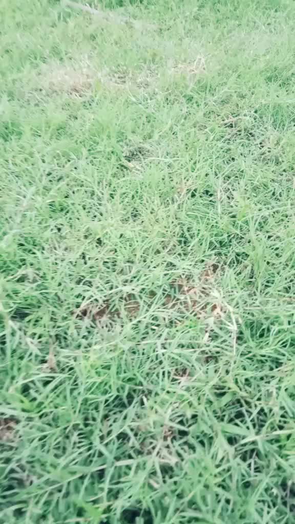 @Prajeesh K