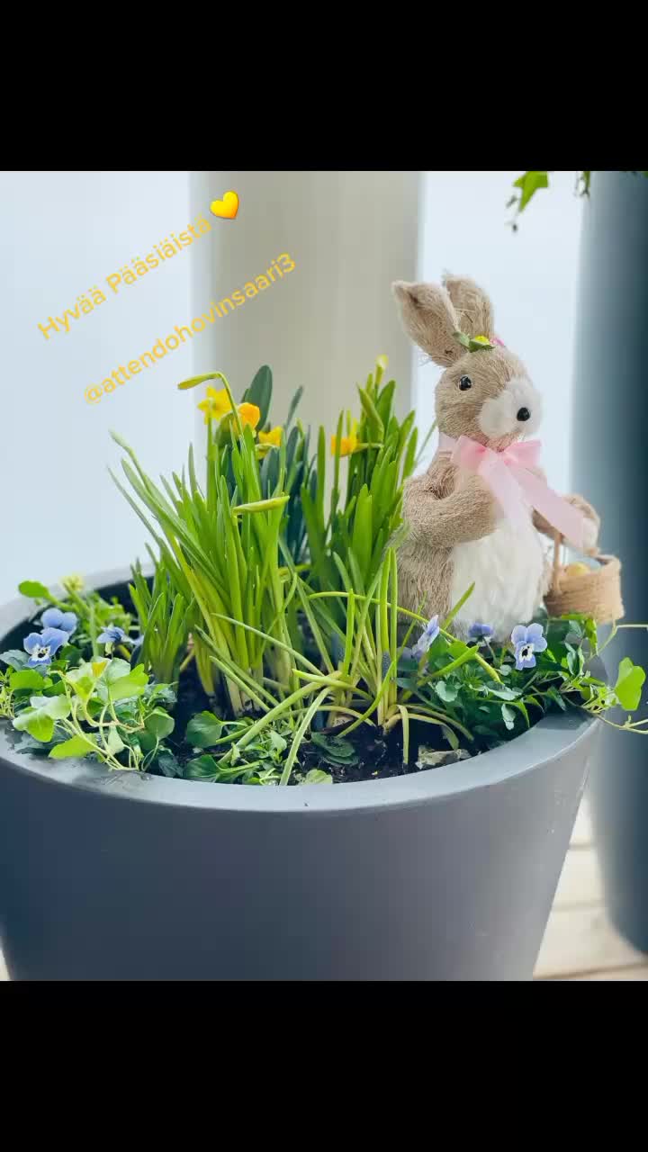 @attendohovinsaari3