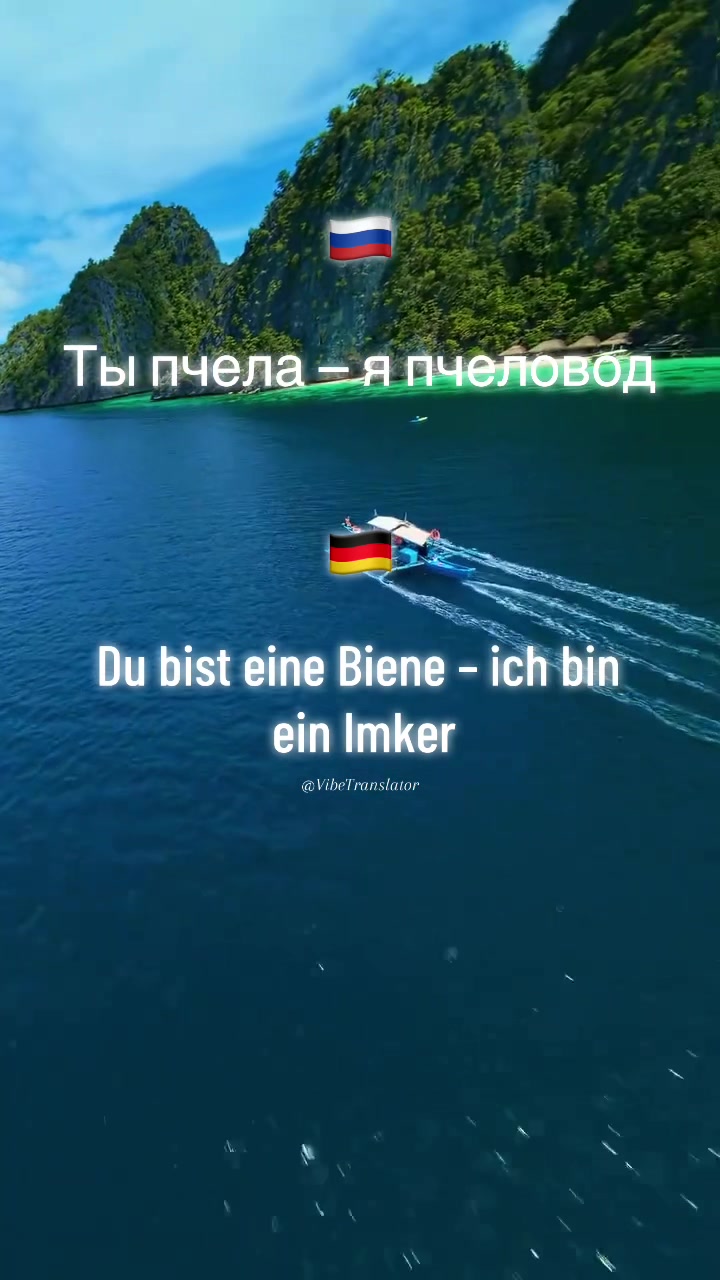 @VibeTranslator