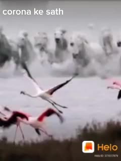 @vijay2130