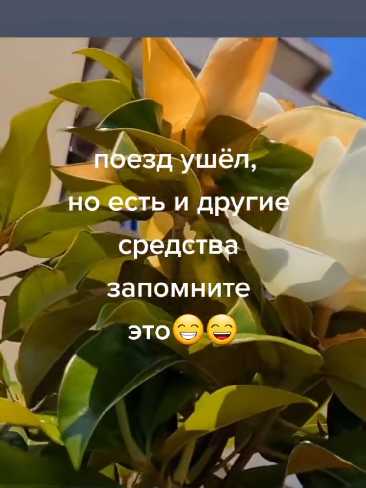 @LenaLi Италия