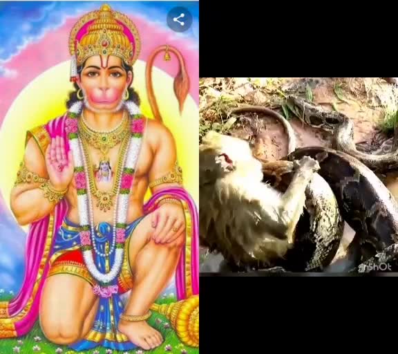 @Vikash Singh