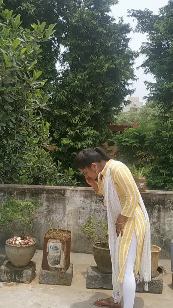 @Divvu Divya