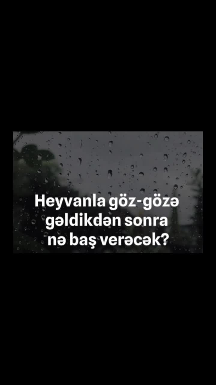 @doktor_psixoloq_