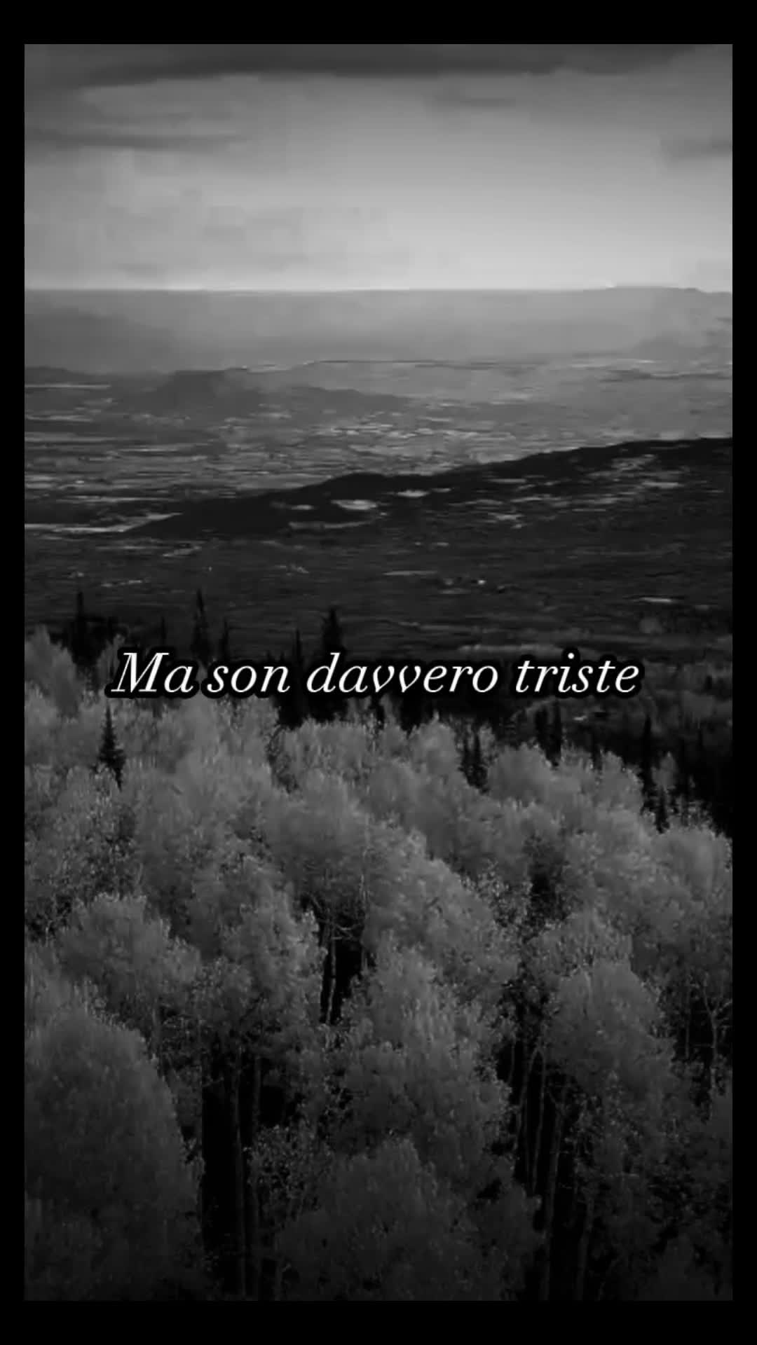 @Music🎵Love❤️