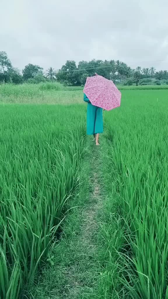 @pappa 😉karuvachi😊?