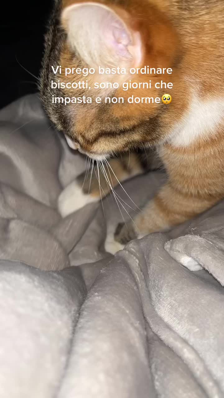 @Nina