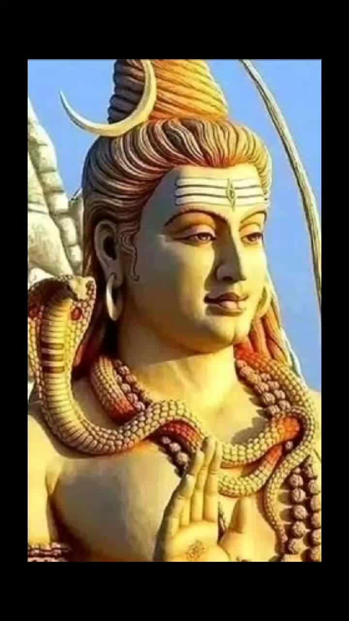 @user3516979019333