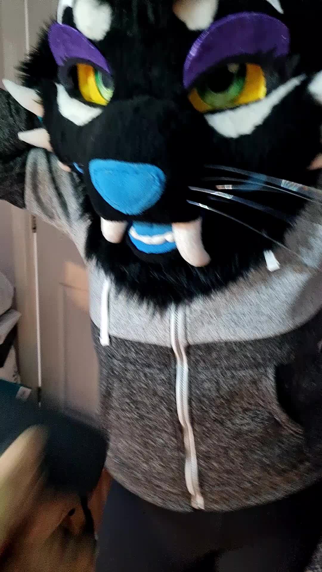 @Kittypantherlion100