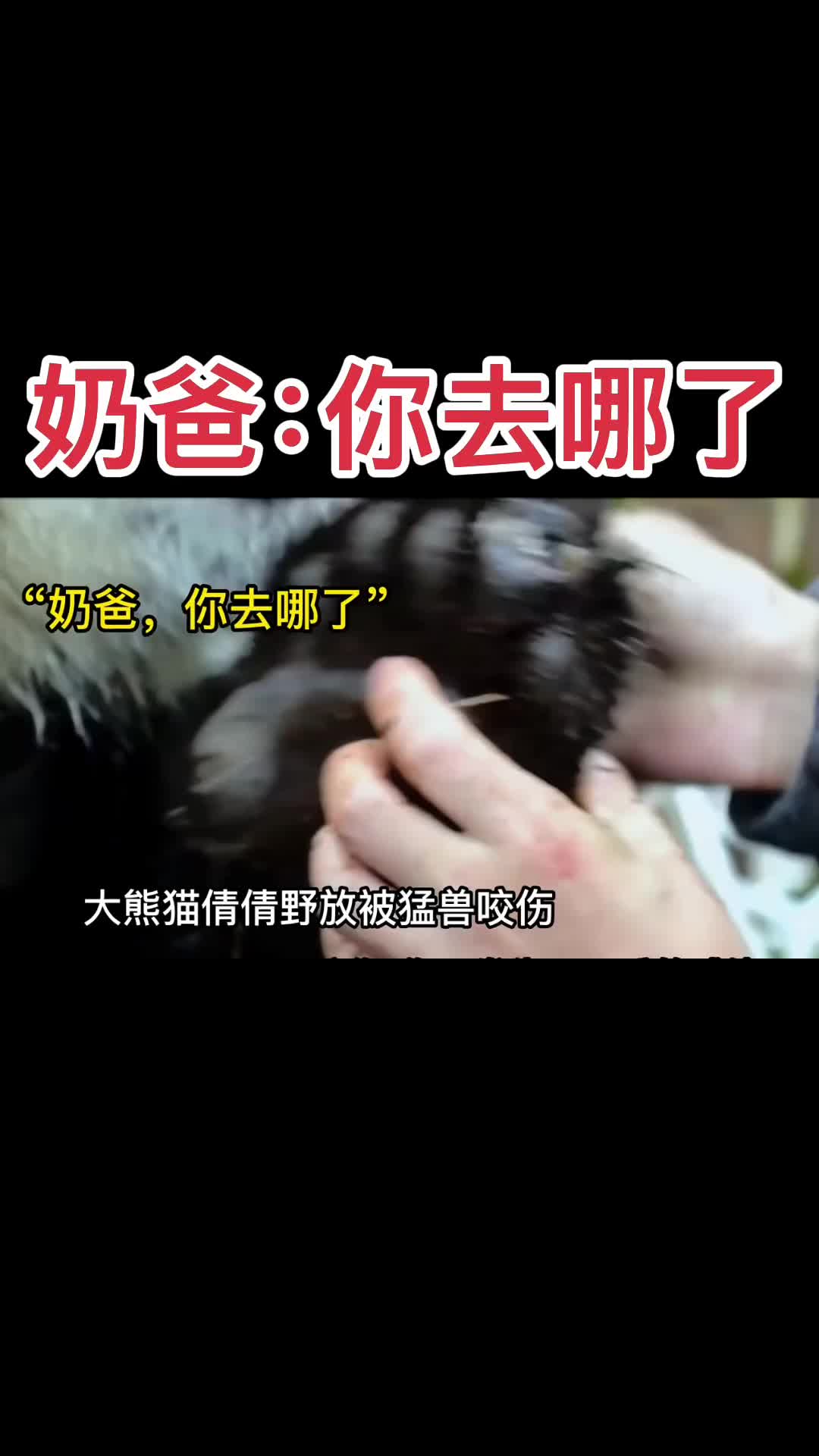 @一生等待