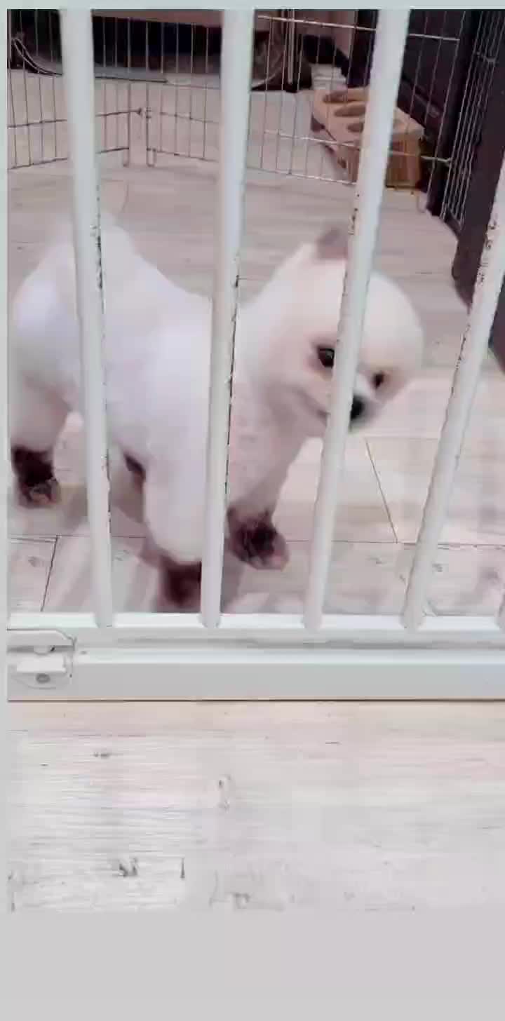 @kkangchu