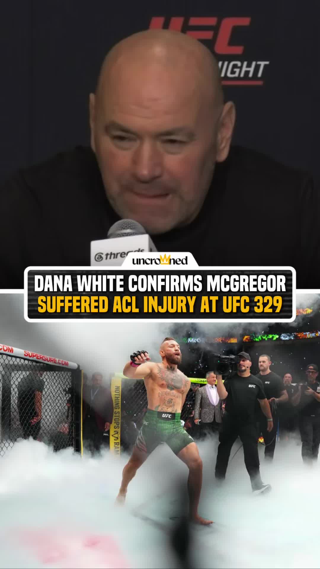 @arielhelwani