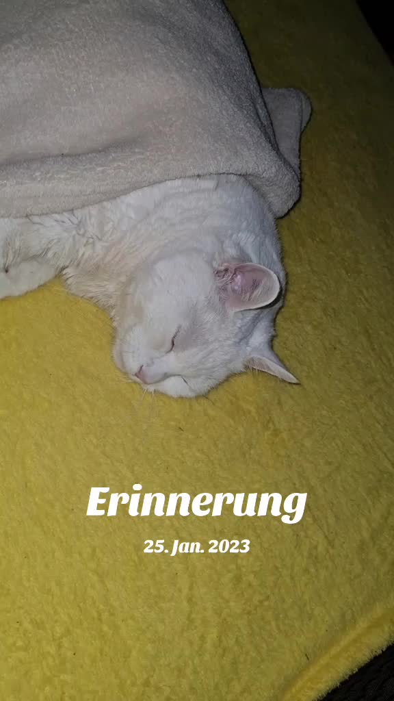 @Jens Wagner