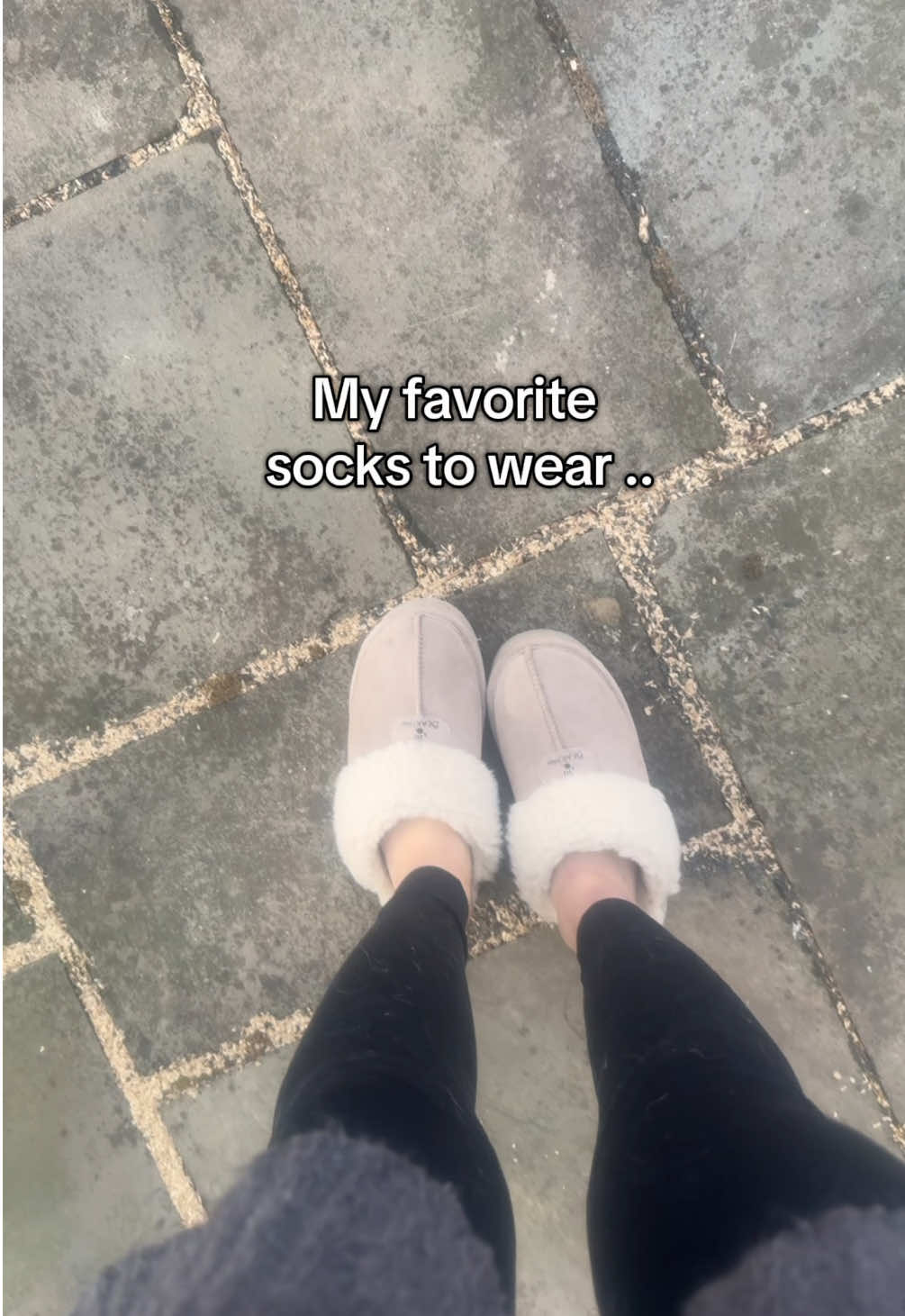 @sandie.soles