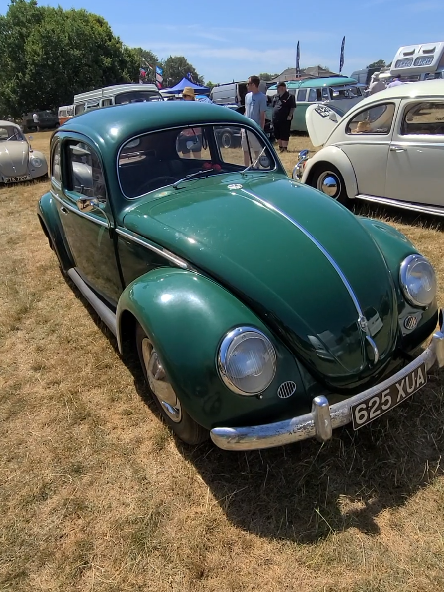 @BeetleguyRob.