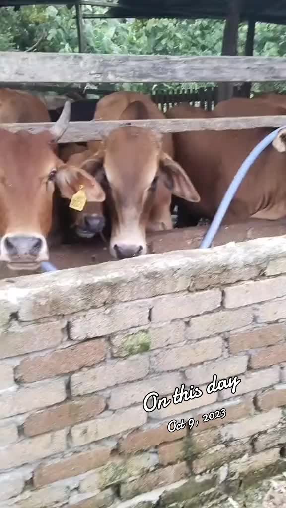 @arulalfan8