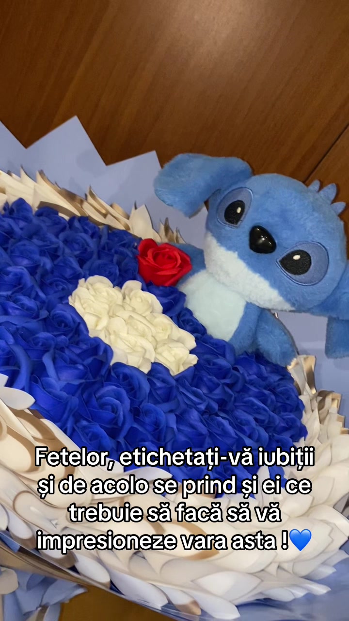 @🩷𝓐𝓵𝓲𝓼𝓪 🩷