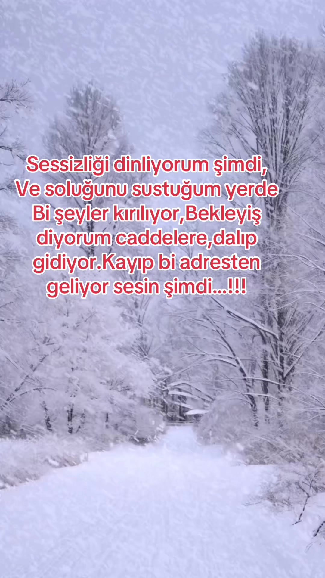@Buzbeyi