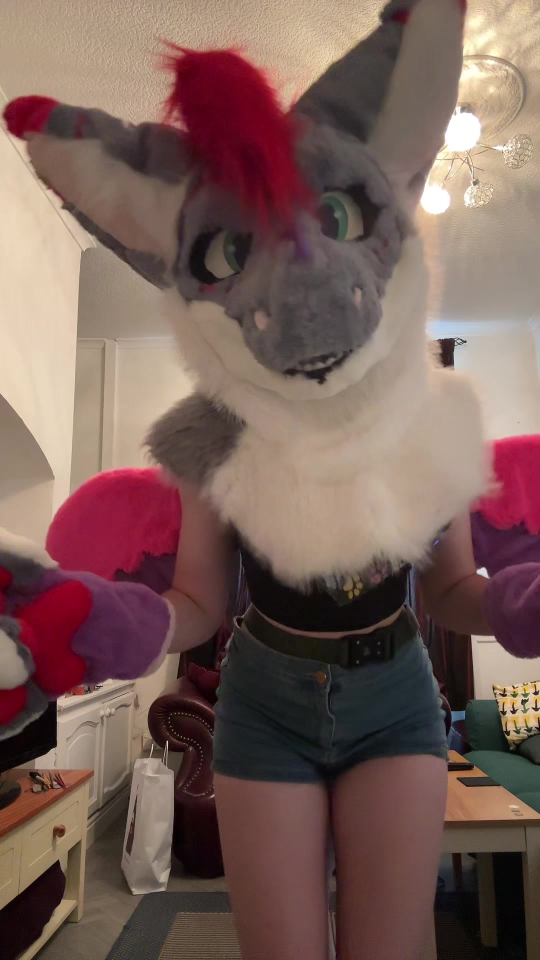 @Cola_the_angeldragon ❤️🖤