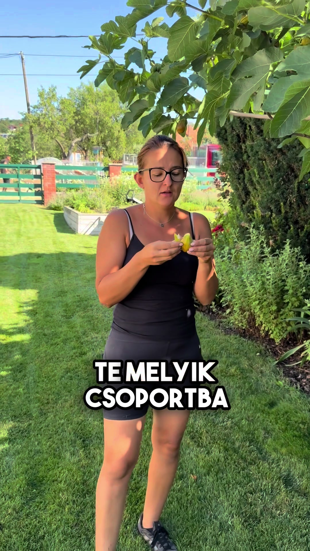@J&aacute;mbor Fanni