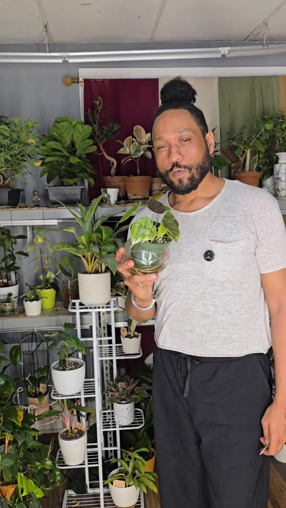 @JT - BigEGOPlants