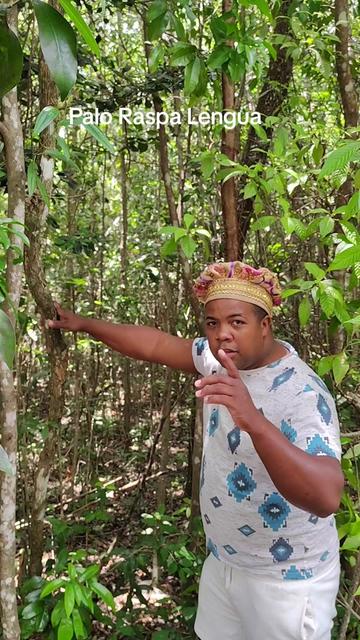 @SaguaLaGrandeTierradeCongo