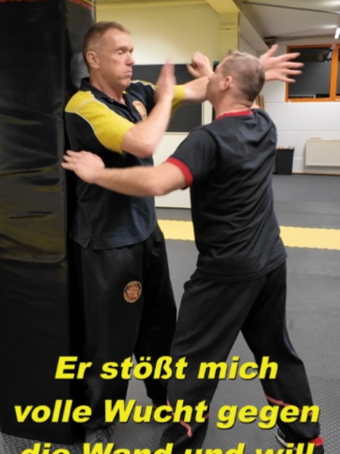 @Sifu Martin Hofmann