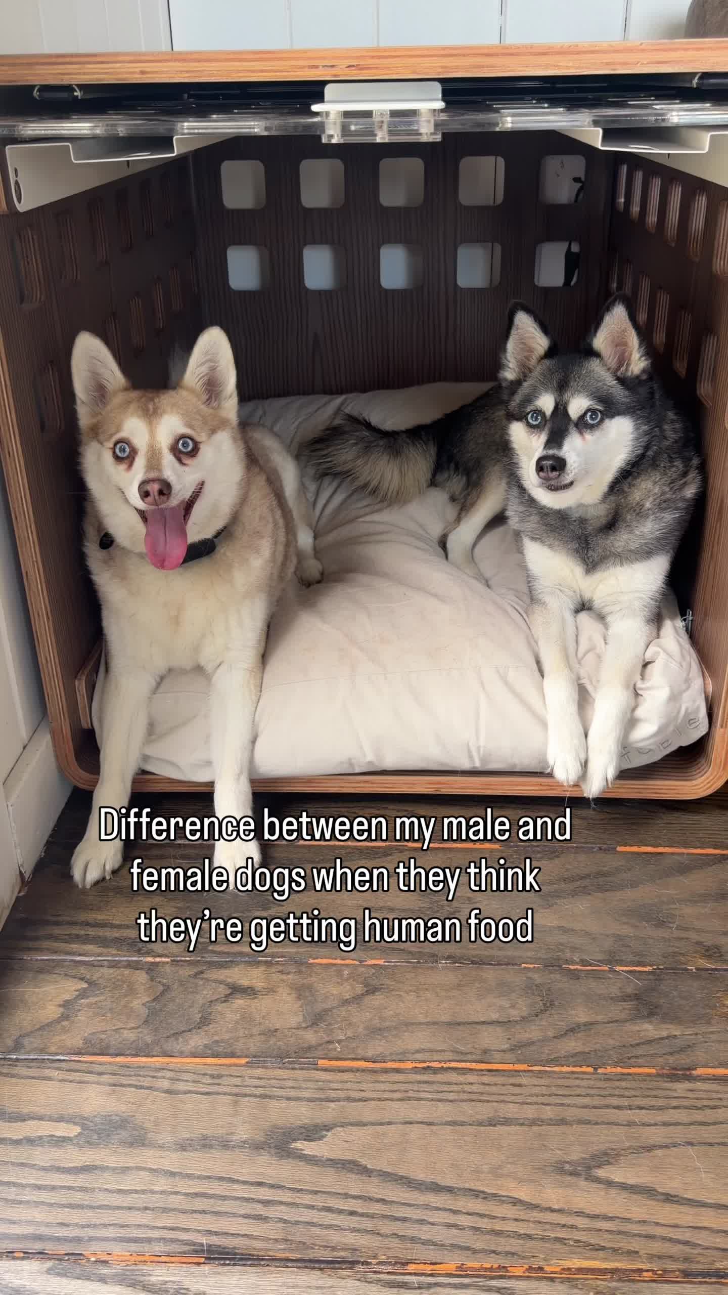@lifewithkleekai