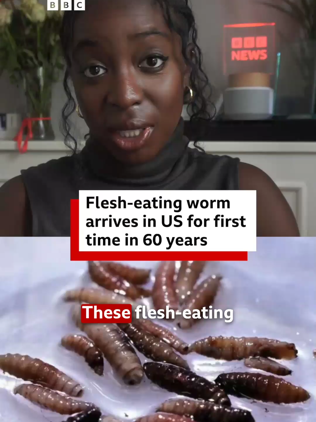 @BBC News