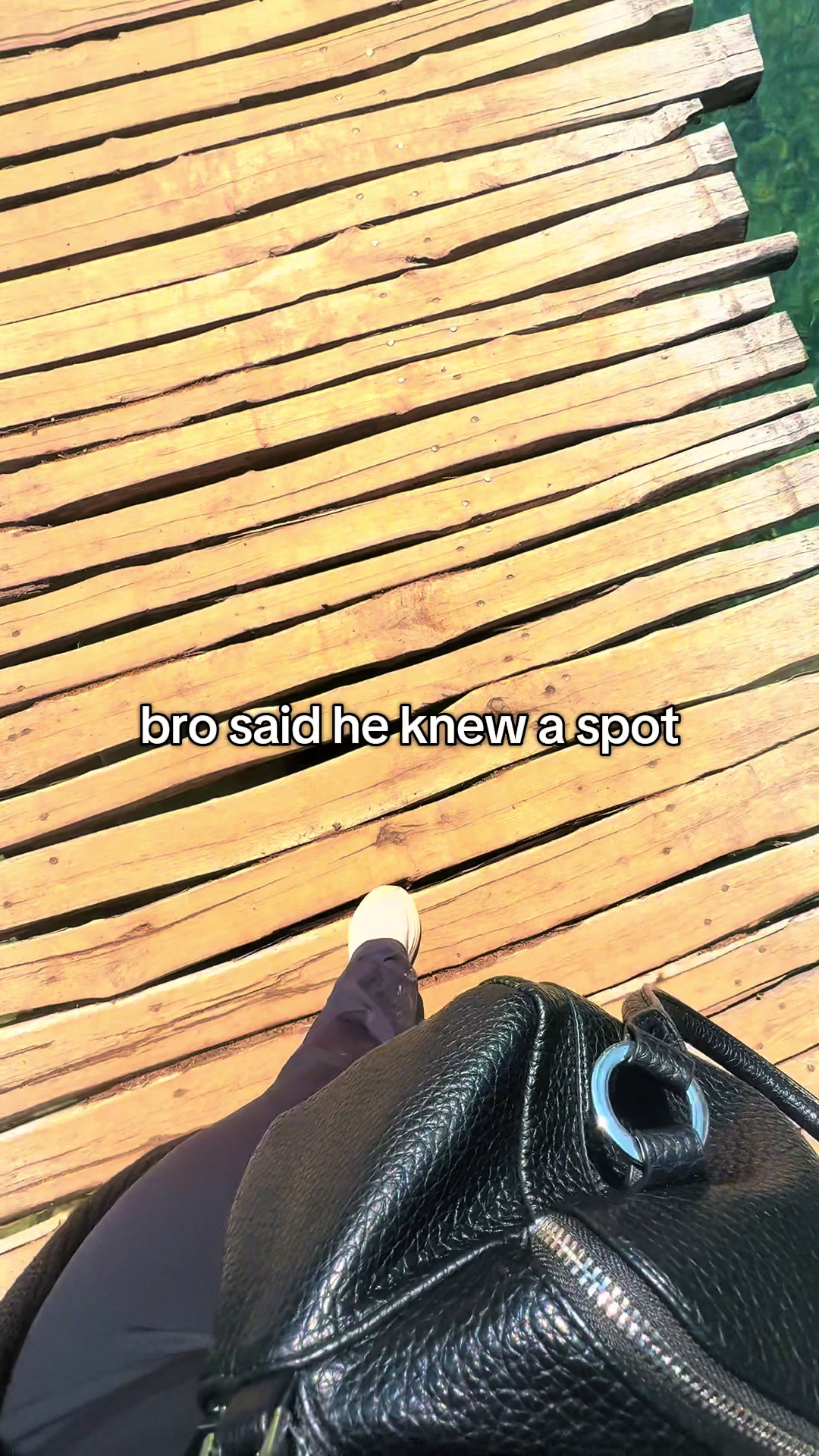 @Flora🥥