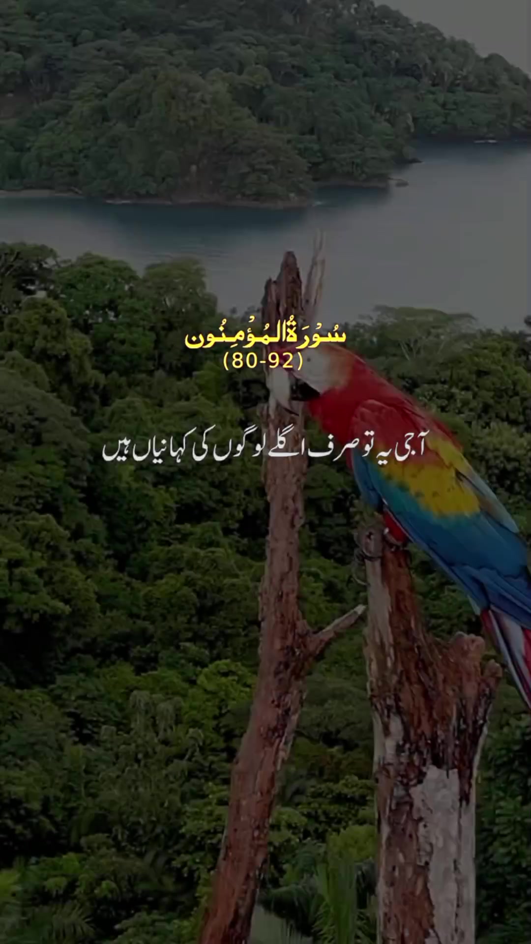 @M Younis official