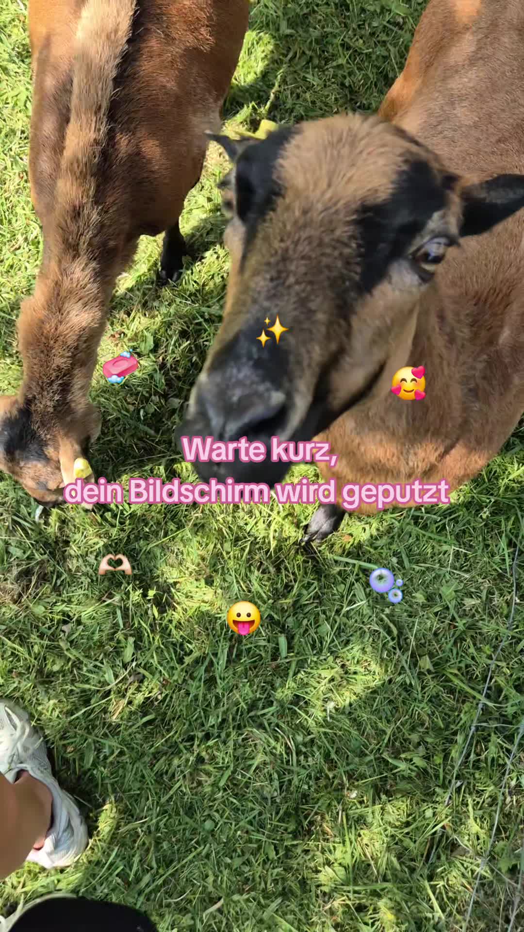 @Eva