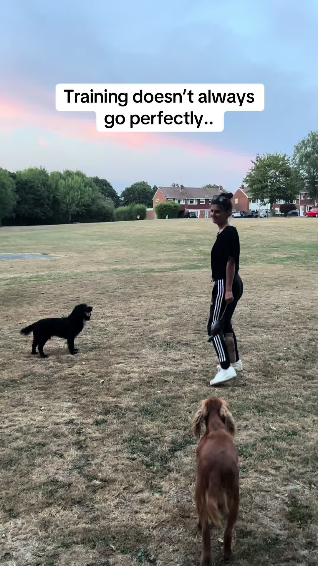 @Corrina | Parker & Mila 🐾 ⭐️