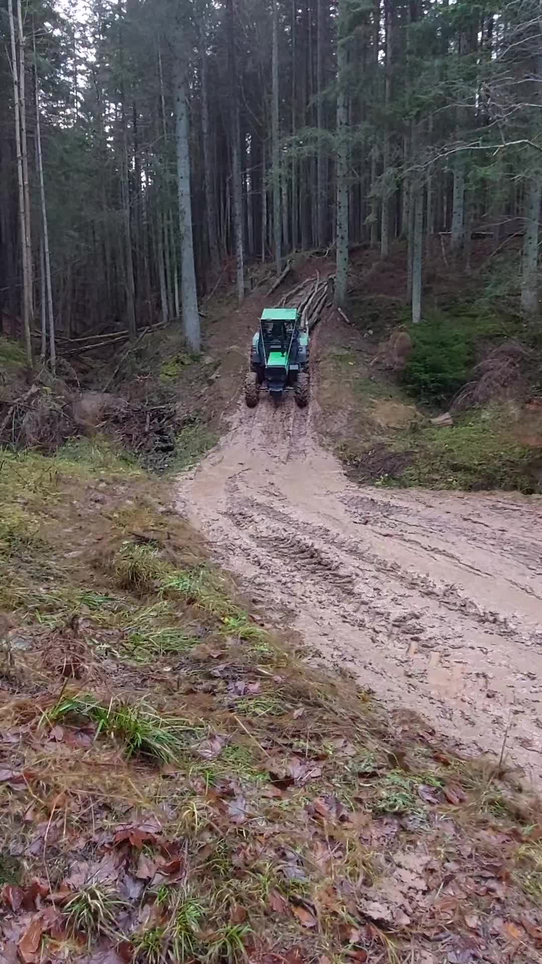 @forestSoban