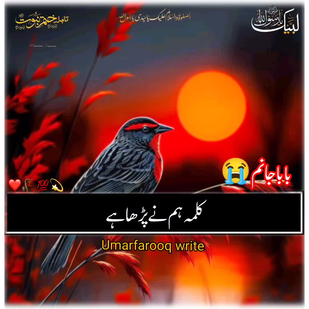 @☝️⭐༄گمنام مجاھد༄⭐💫