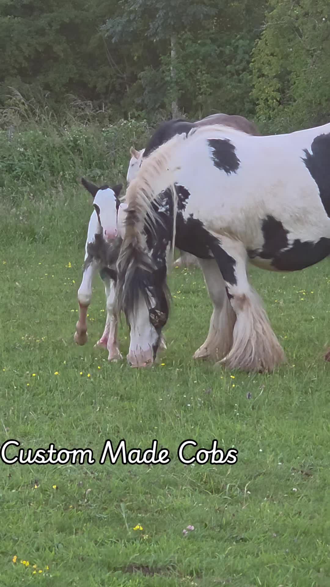 @custom.made.gypsy.cobs