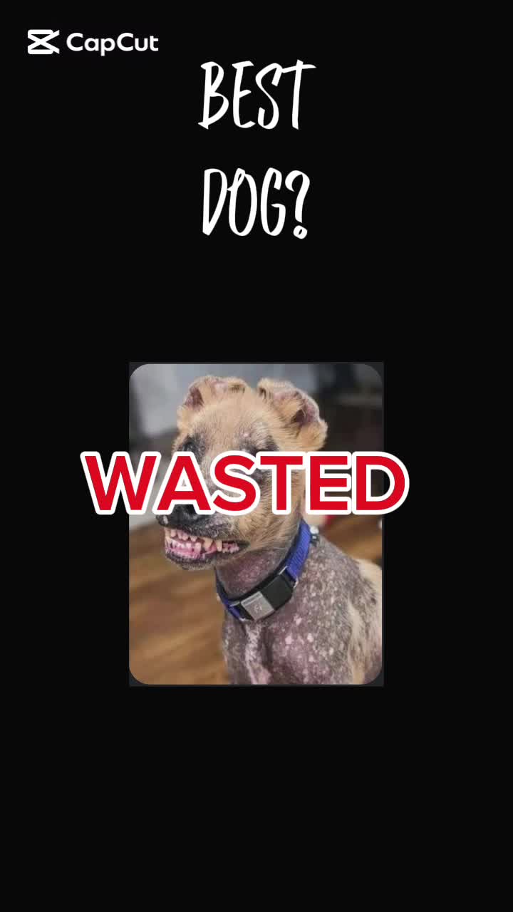 @Elias303