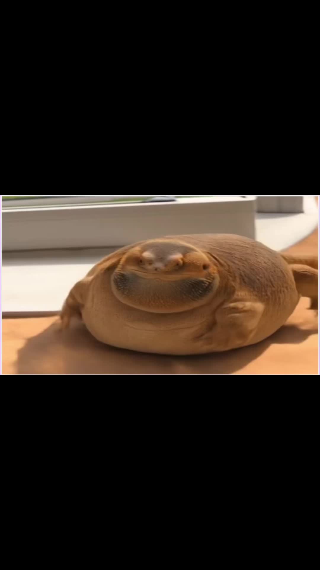 @isaac_edaly🦎