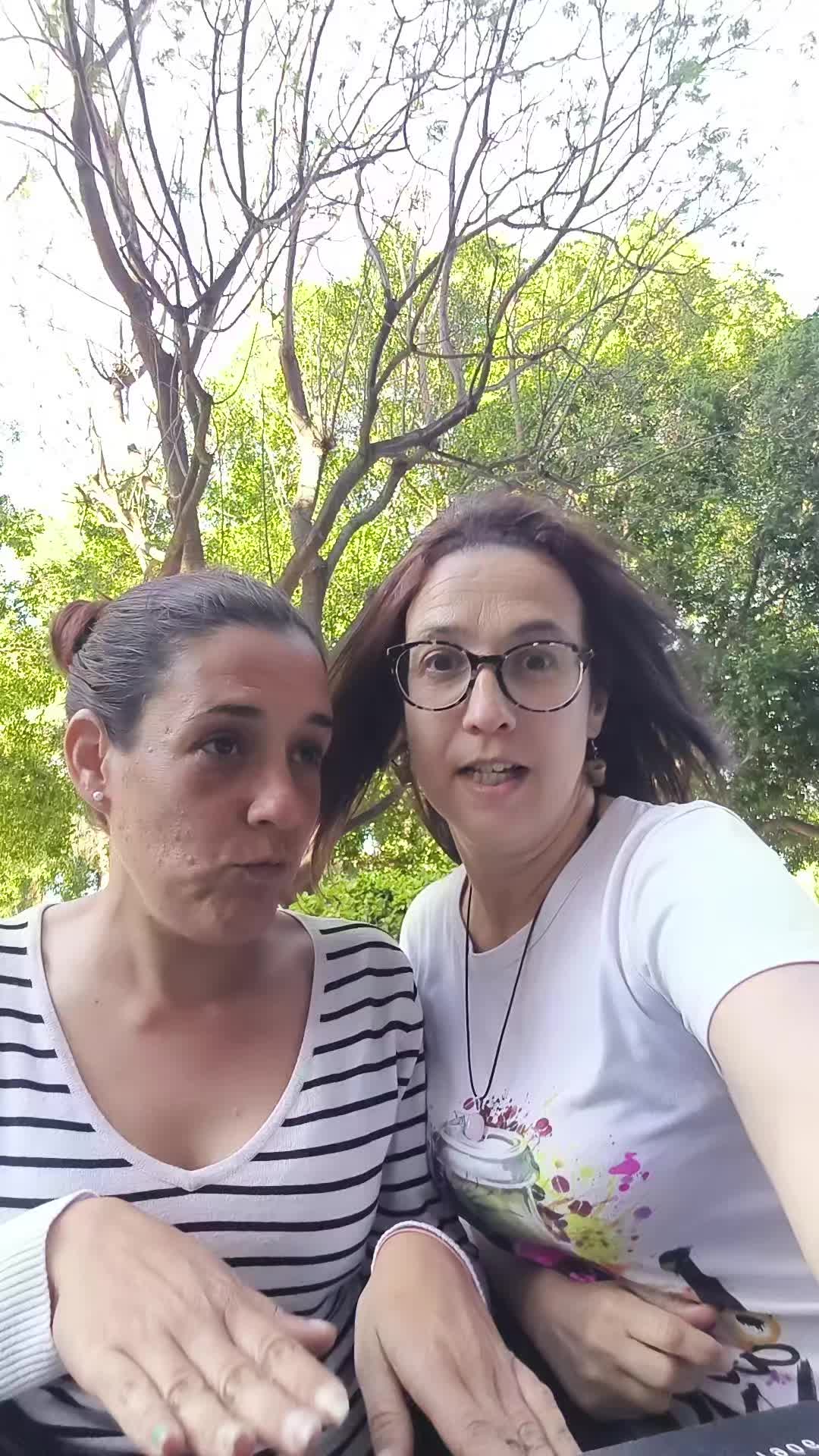 @yoguisol