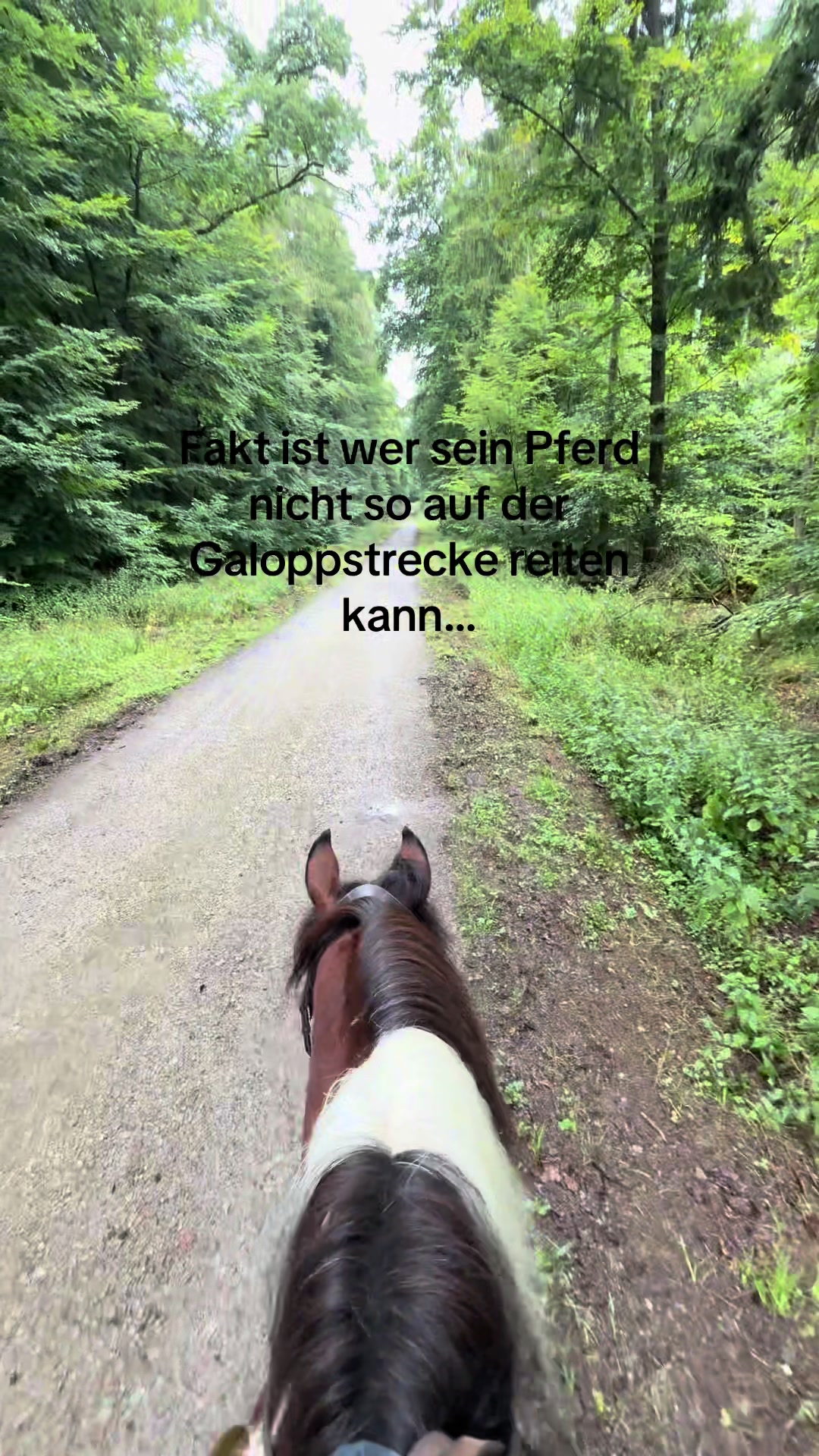 @€mily 🇩🇪🥥⛧
