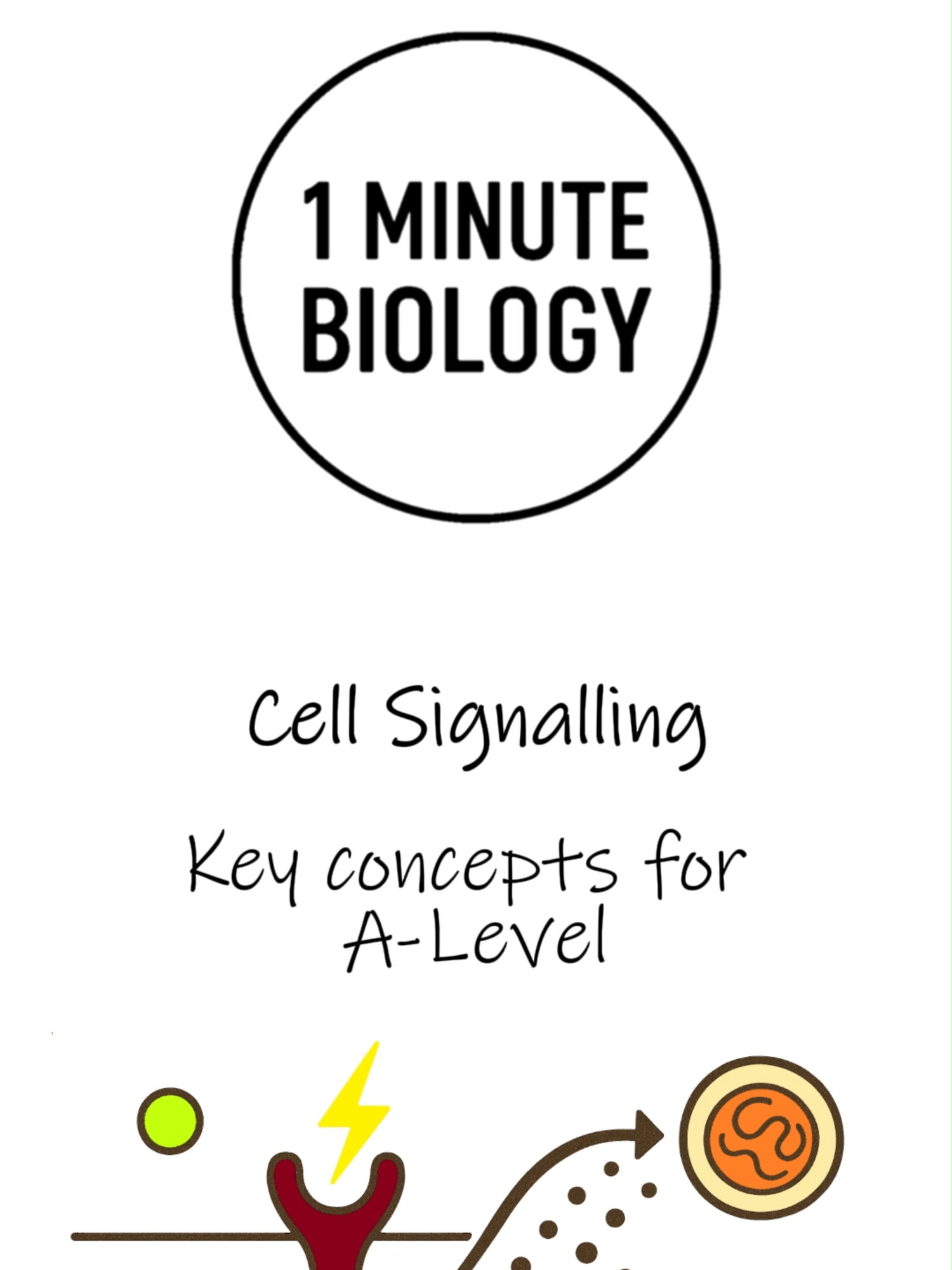 @CambridgeBiologyRevision