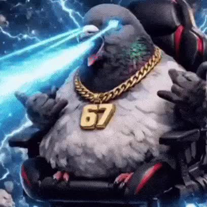 @pigeon_og