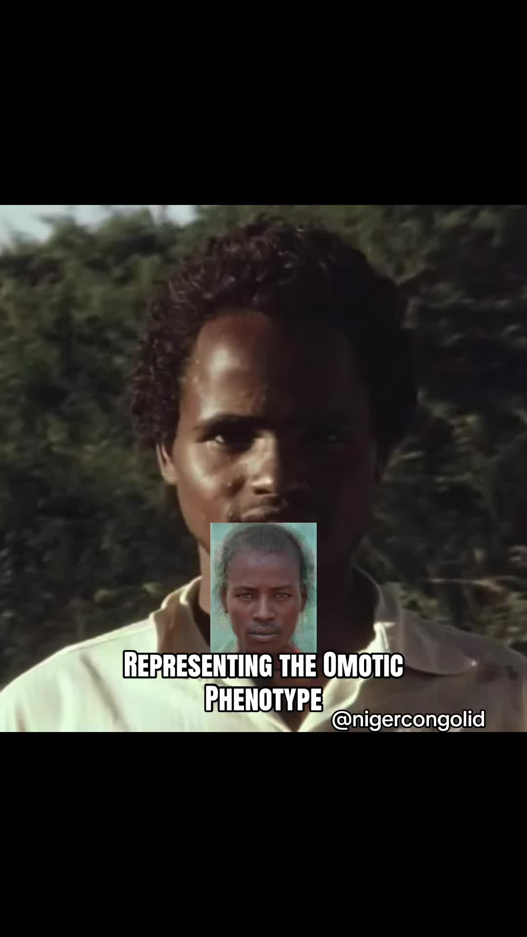 @nigercongolid