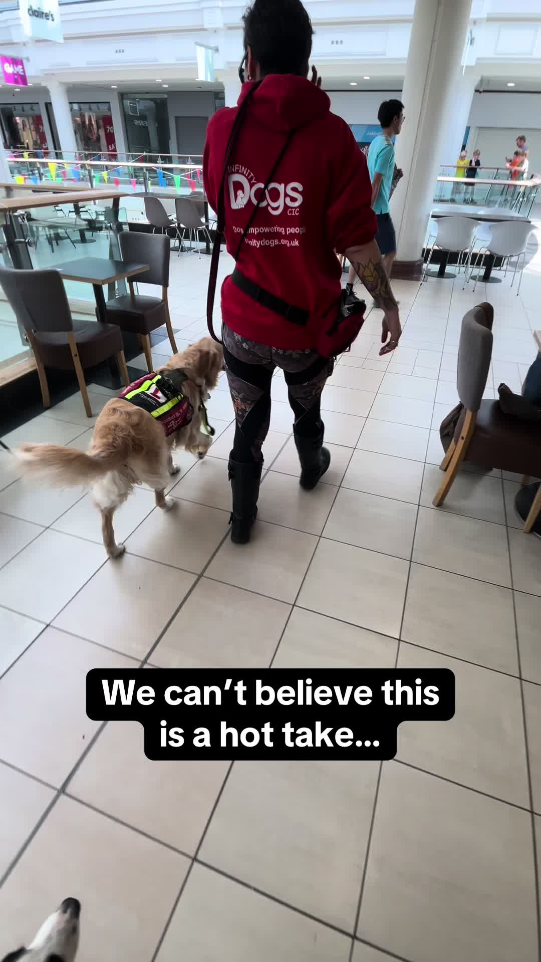 @Infinity Dogs CIC
