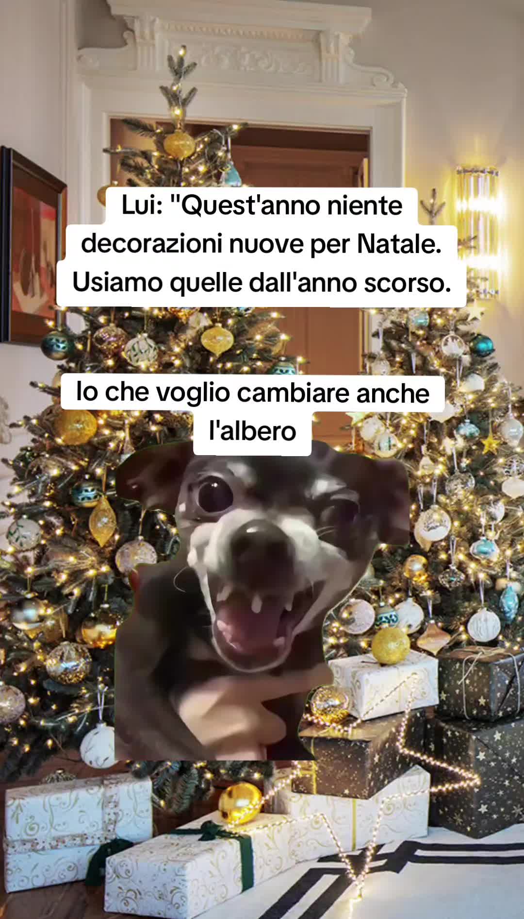 @Catzatte